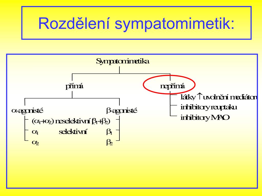 PPT - Autonomní nervový systém: PowerPoint Presentation, free download -  ID:4610660