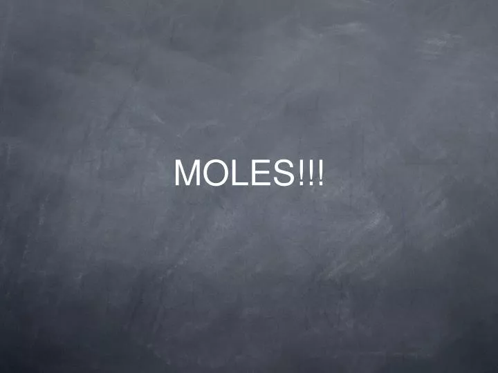 moles n.