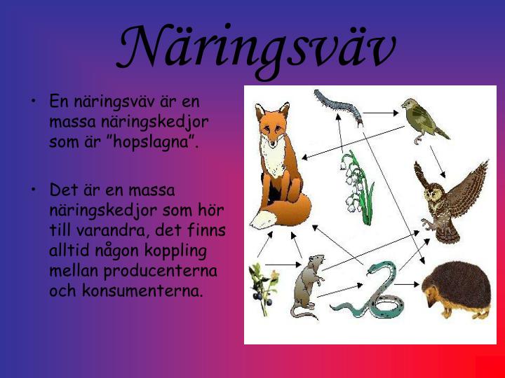 Skillnaden Mellan Massa Och Tyngd
