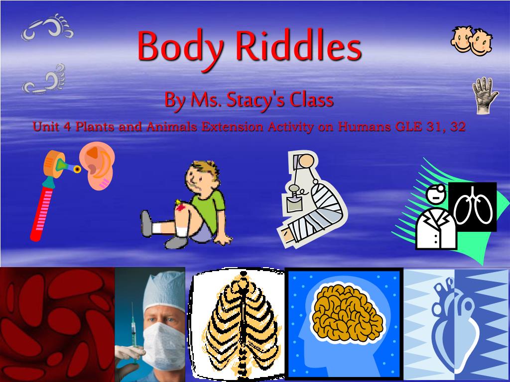 PPT - Riddles About Your Body PowerPoint Presentation, free download -  ID:4611837