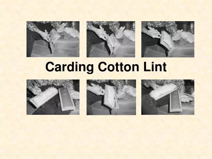 carding cotton lint n.