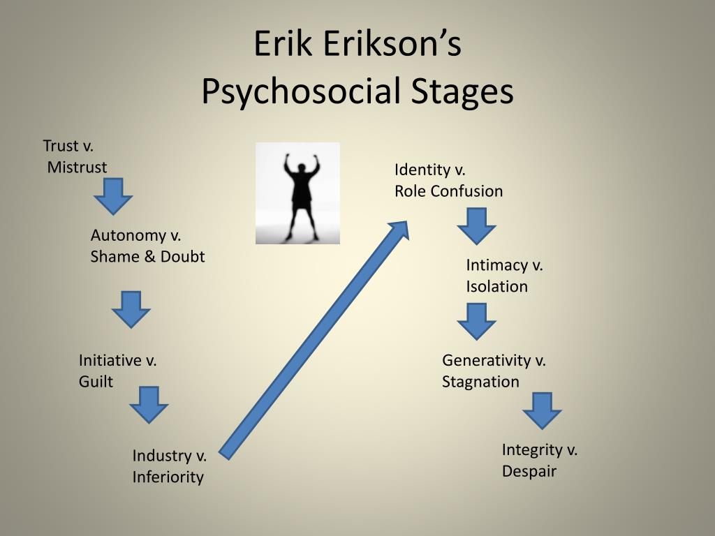 erik erikson s psychosocial stages.
