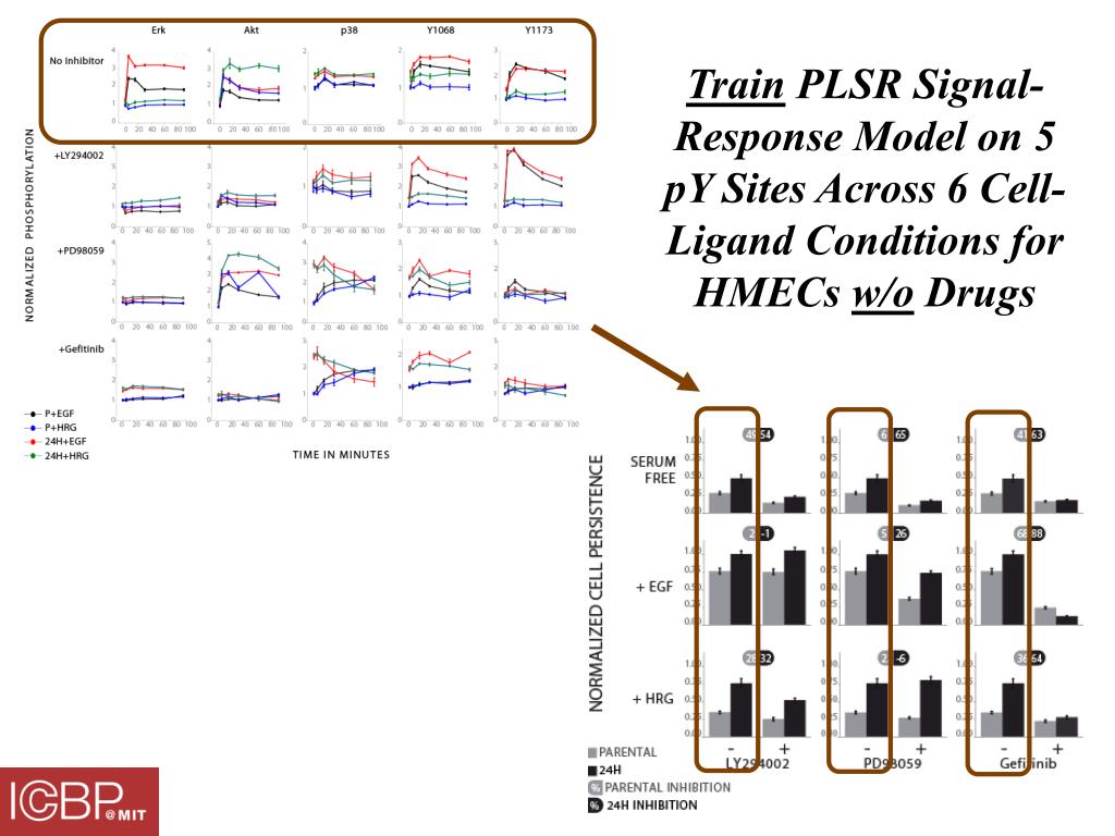 Ppt Phospho Proteomic Analysis Of Signaling Networks Governing Cell Functions Powerpoint Presentation Id