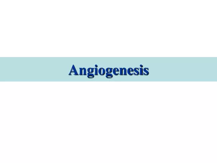 PPT - Angiogenesis PowerPoint Presentation - ID:2263996