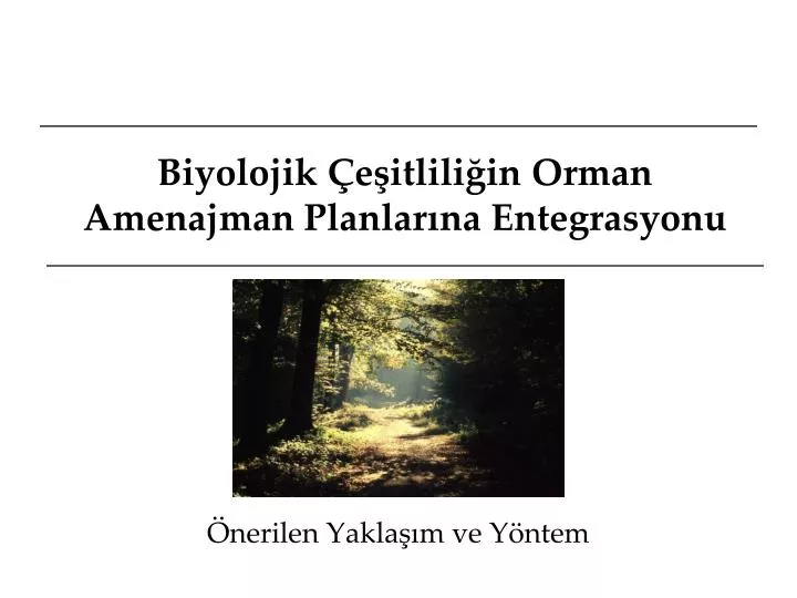 PPT - Biyolojik Çeşitliliğin Orman Amenajman Planlarına Entegrasyonu ...