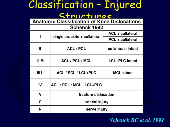 PPT - Knee Dislocation and Multiligamentous Injury PowerPoint ...