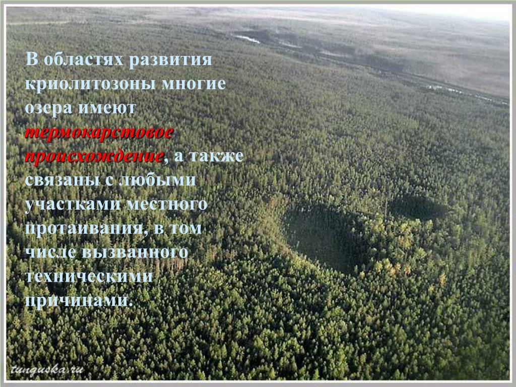 Роль озер. Термокарстовое происхождение. Происхождение криолитозоны. Геологическая роль озер. Какое происхождения имеют эти озера термокарстовое.