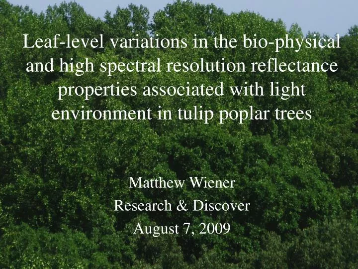 matthew wiener research discover august 7 2009 n.