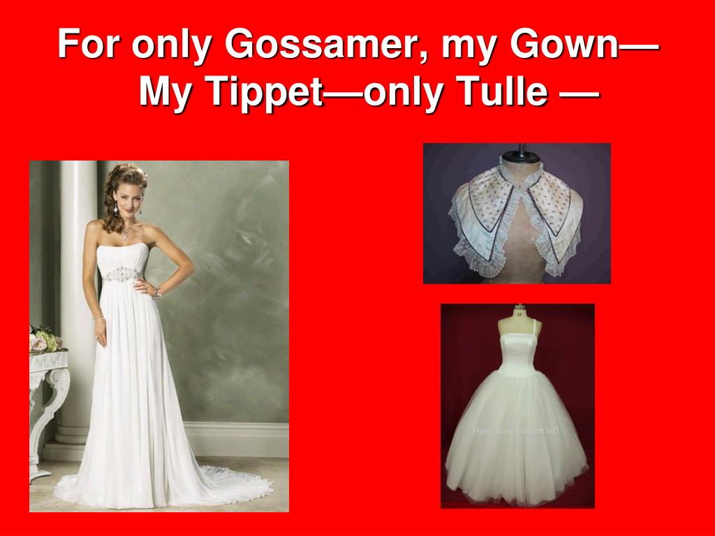 What is the meaning of the line 'For only Gossamer, my Gown' in Because I  could not stop for Death? | Homework.Study.com