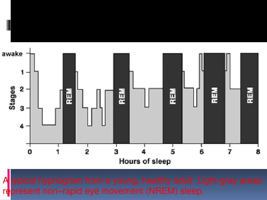 Быстрая фаза сна это. Фазы сна схема. Фазы сна человека диаграмма. Схема стадий сна. Сон фазы сна схема.