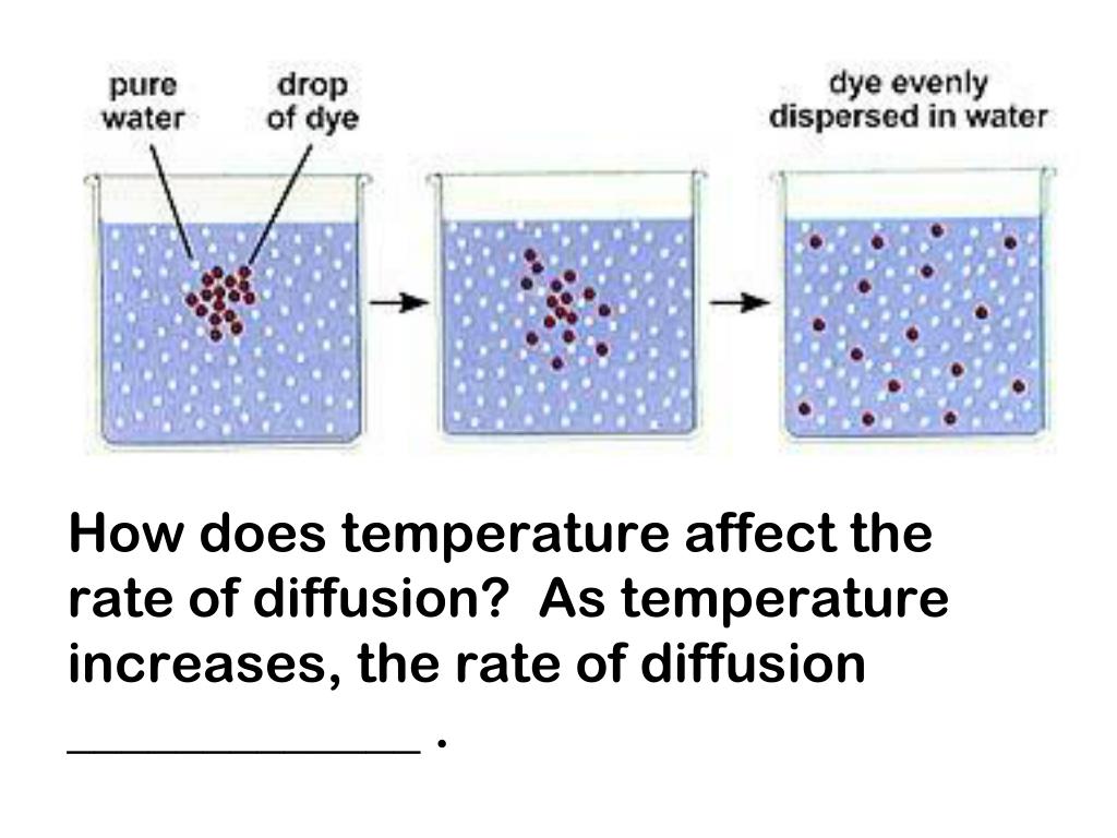 How Does Temperature Affect Diffusion Rate Slidesharetrick