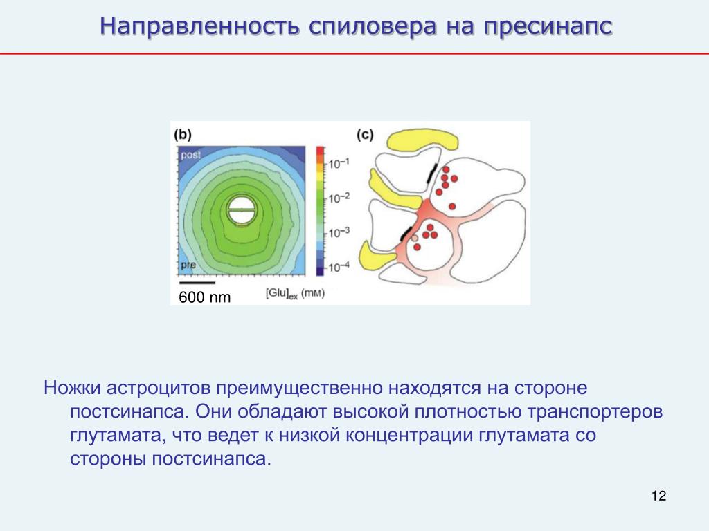 Расположена большей частью на