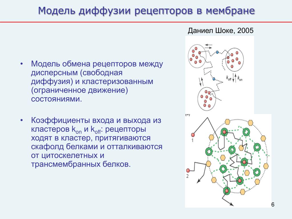 Структура состояние движение