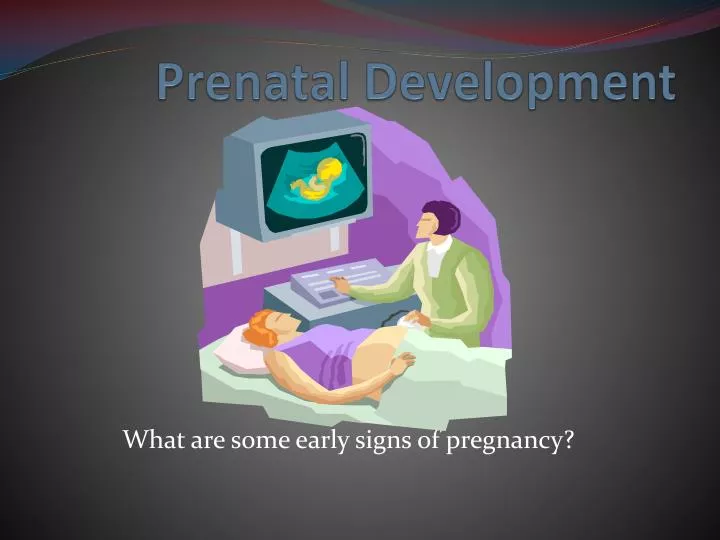 pre natal development pre natal development