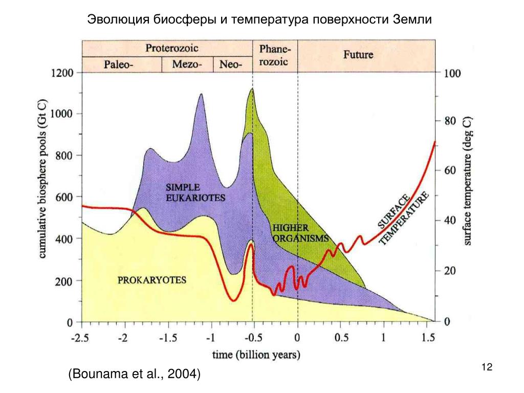 Этапы эволюции биосферы презентация