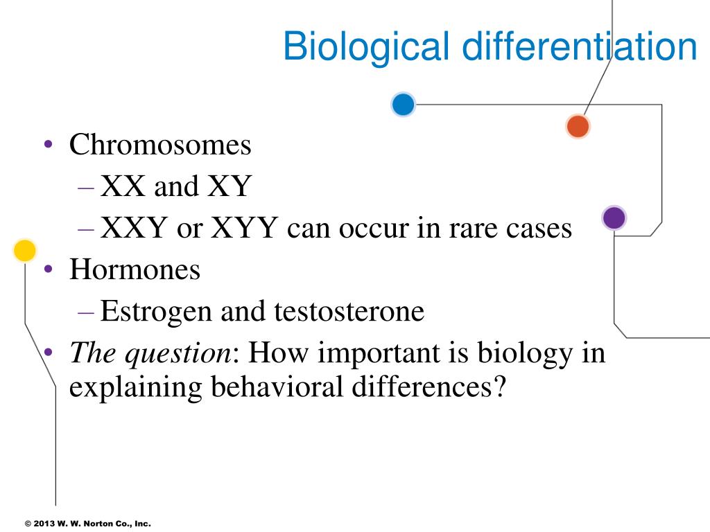 Ppt Chapter 9 Gender Inequality Powerpoint Presentation Free 