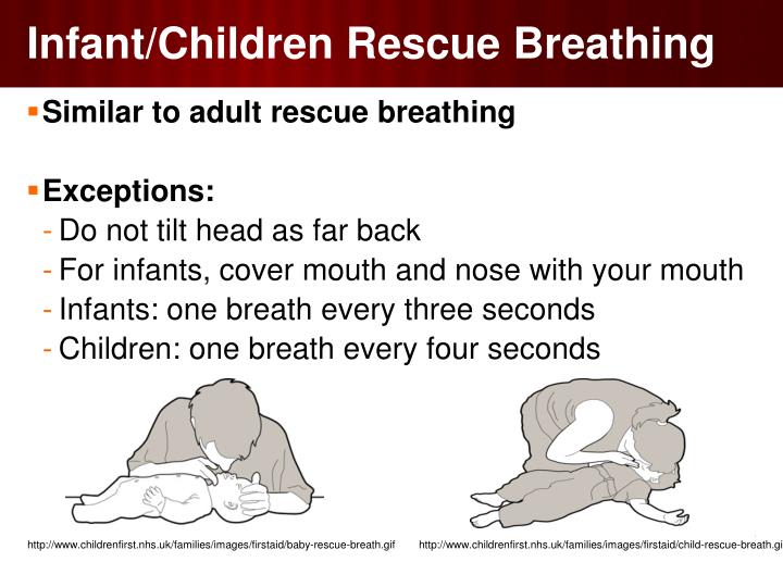 adult rescue breathing - ama adult rescue breathing - ama