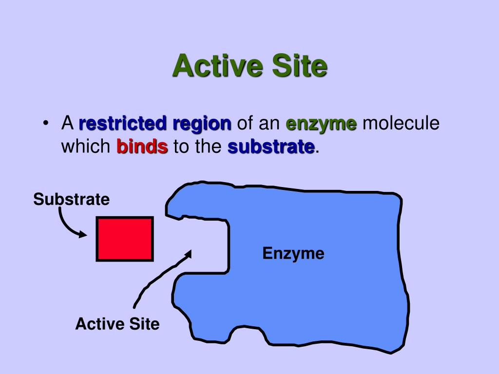 Action site. Зал substrate and зал Enzyme Mix.