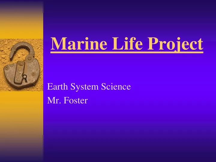 marine life project n.