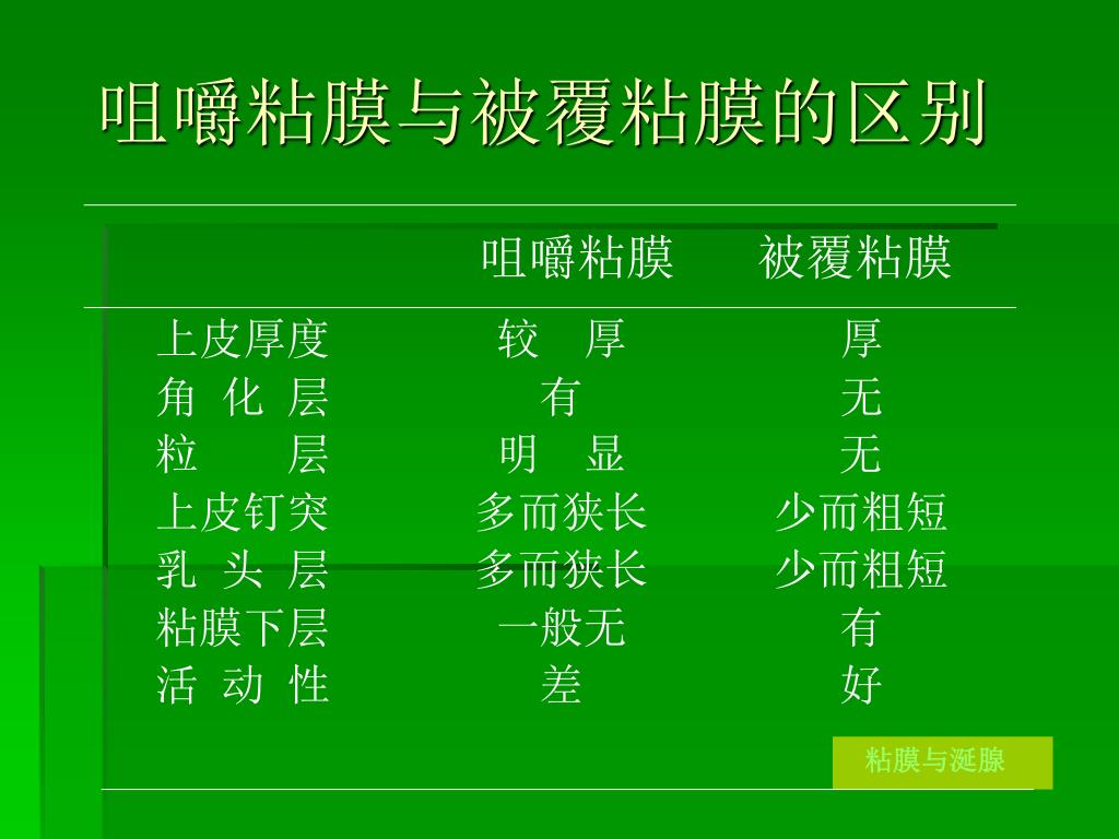 Ppt 第五章口腔粘膜powerpoint Presentation Free Download Id 4648606
