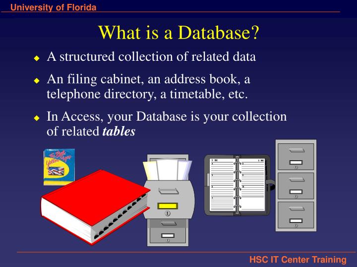 PPT - Introduction to Database Concepts and Microsoft Access PowerPoint ...