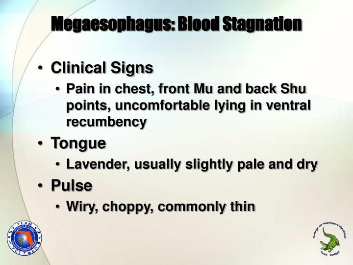 ppt-tcvm-approach-to-megacolon-and-megaesophagus-powerpoint