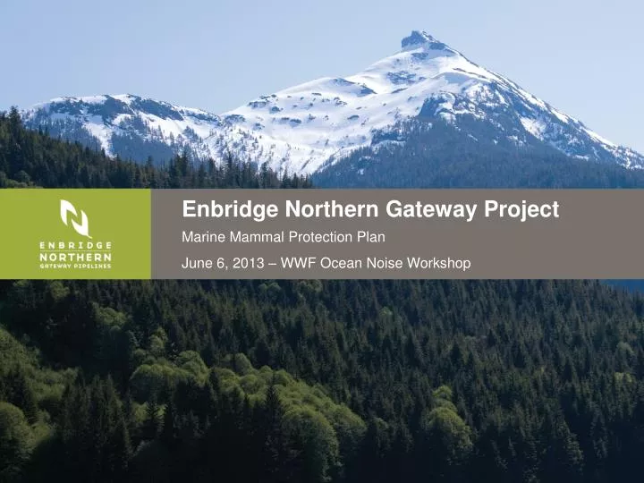 enbridge northern gateway project n.