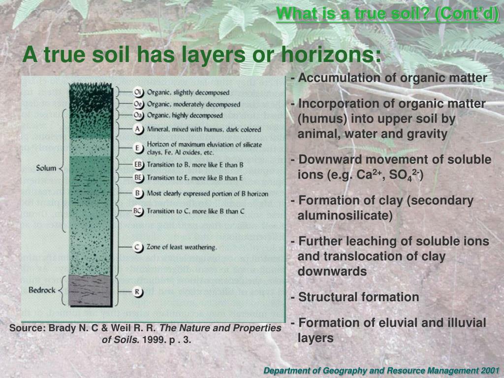 PPT Soil Formation Factors With Special Reference To Oxisols And 