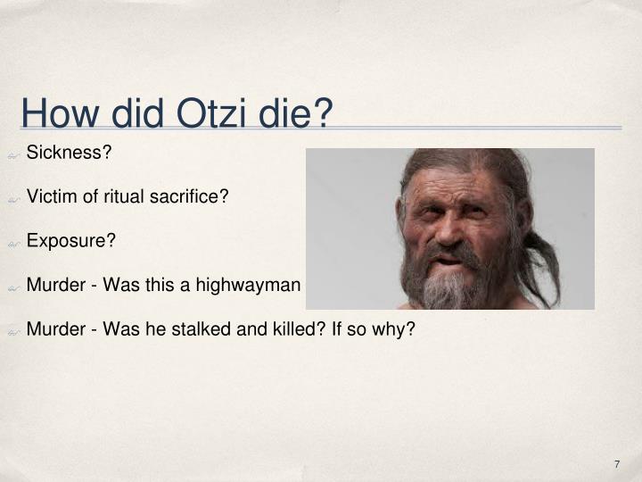 The Assassination Of Otzi Analysis