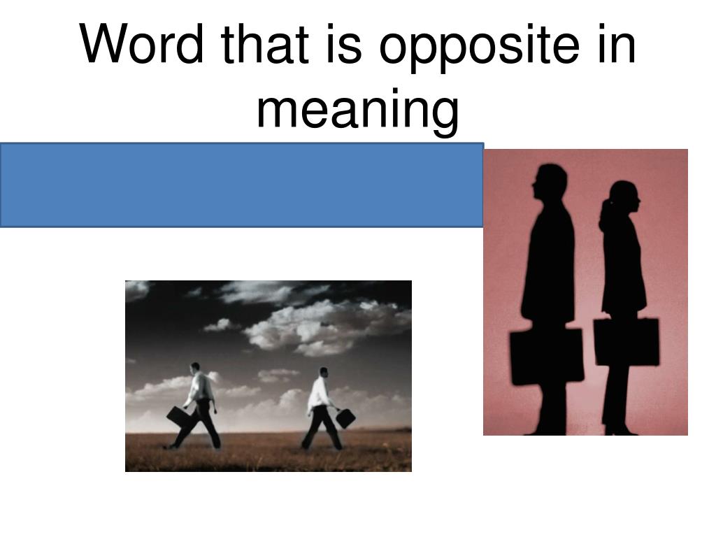 opposite syn opposite syn