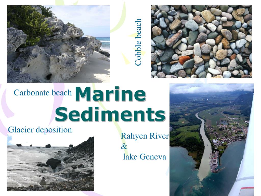 PPT Marine Sediments PowerPoint Presentation Free Download ID 4654452