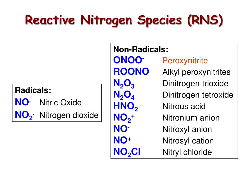 PPT Reactive Oxygen and Nitrogen Species PowerPoint Presentation