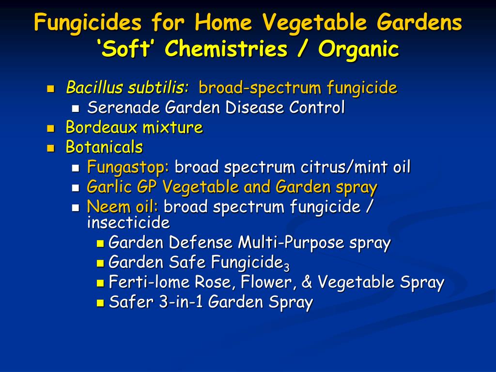 Ppt Diseases In The Home Vegetable Garden Id Management