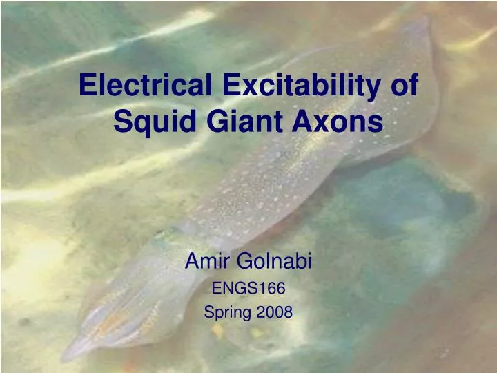 electrical excitability of squid giant axons n.