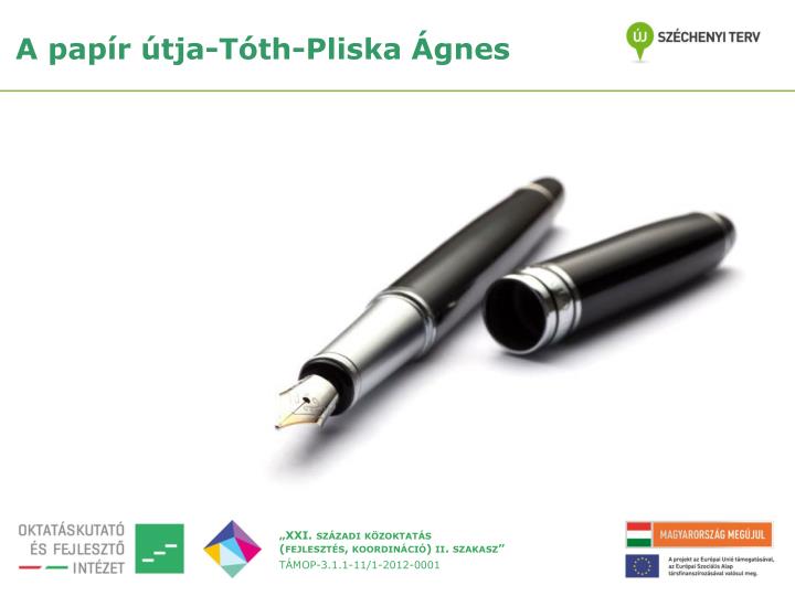 PPT - A papír útja-Tóth-Pliska Ágnes PowerPoint Presentation, free download  - ID:4658350