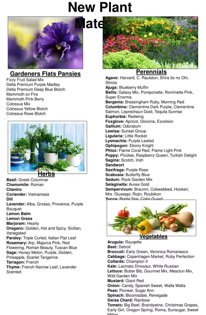 Ppt Gardeners Flats Pansies Fizzy Fruit Salad Mix Delta Premium