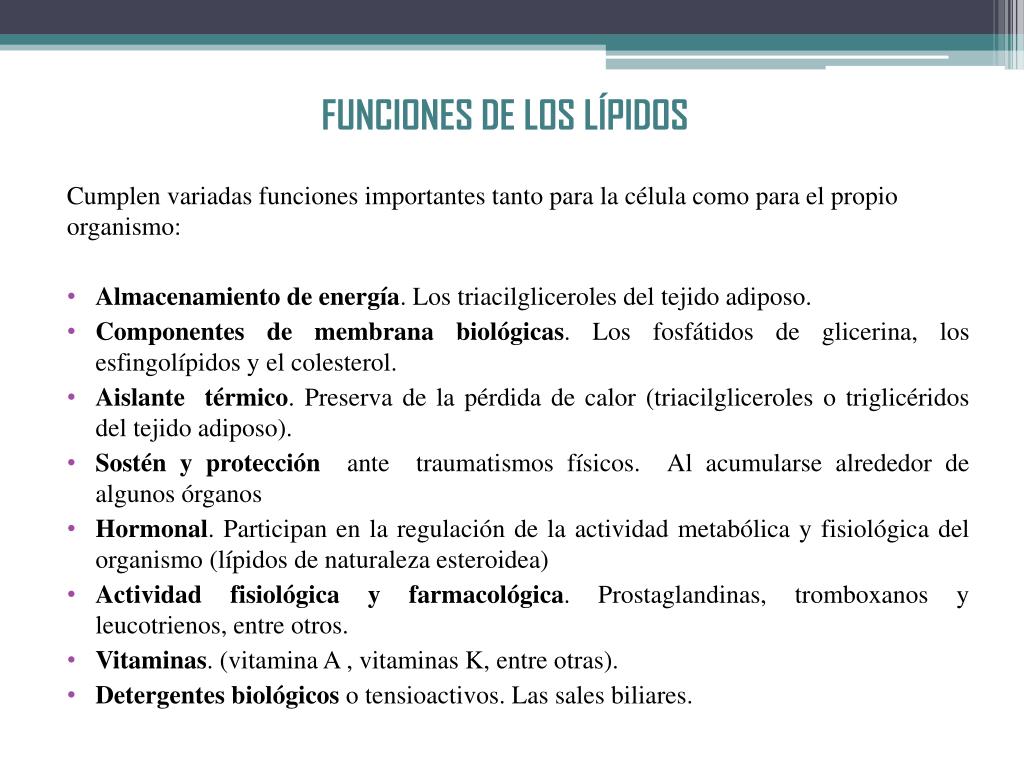 PPT ESTRUCTURA MOLECULAR Y COMPORTAMIENTO DE LOS LÍPIDOS