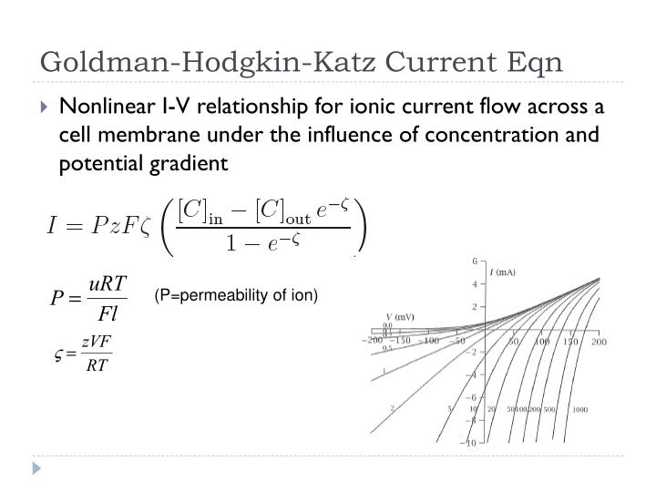 Goldman Hodgkin Katz Current Equation