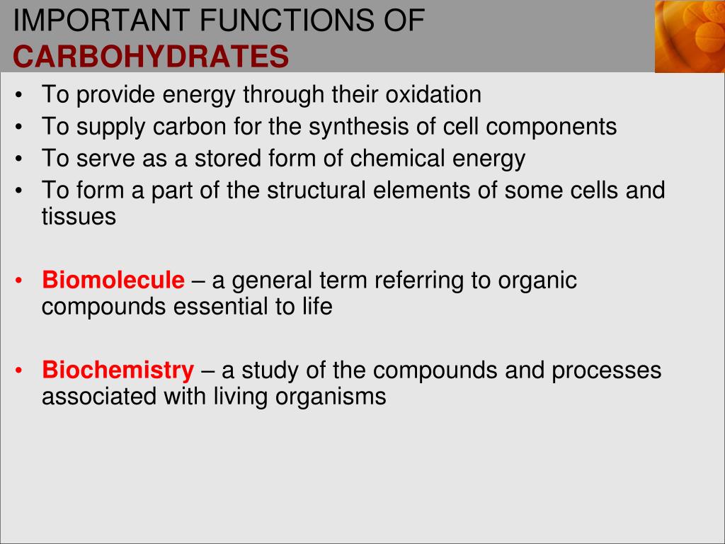 Ppt important functions of carbohydrates powerpoint presentation 