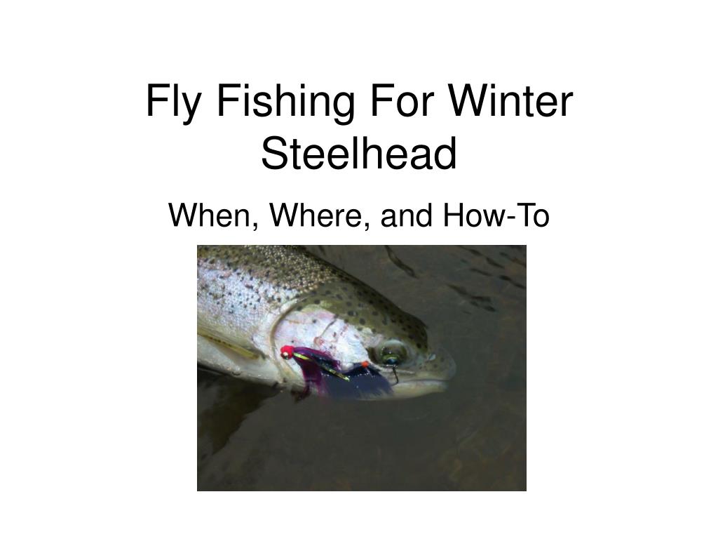 PPT - Fly Fishing For Winter Steelhead PowerPoint Presentation