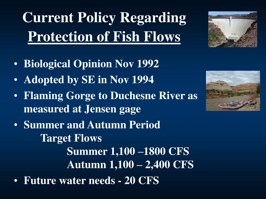 PPT - 2007 Water Law & Policy Seminars The Water In Your Future How to ...