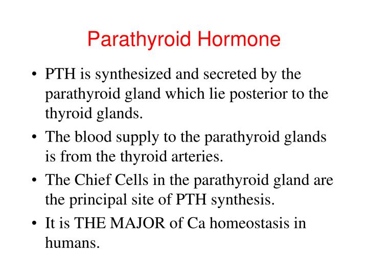 PPT Calcium Homeostasis Parathyroid Hormone, Calcitonin and Vitamin