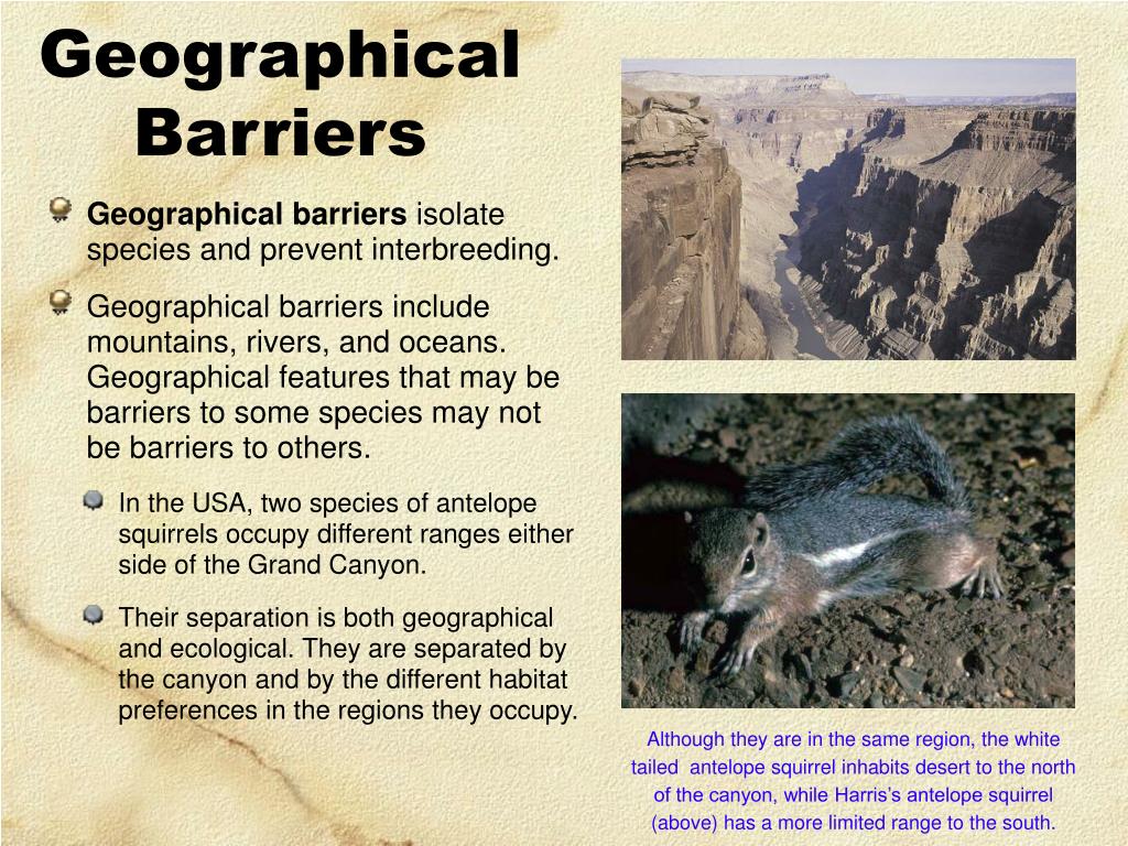 PPT Speciation PowerPoint Presentation Free Download ID 4671474