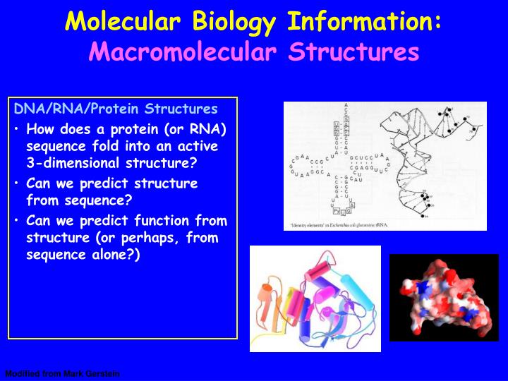 biology isu Biological sciences 202 life sciences building baton rouge, la 70803 telephone: (225) 578-2601 fax: (225) 578-2597. biology isu Biological sciences 202 life sciences building baton rouge, la 70803 telephone: (225) 578-2601 fax: (225) 578-2597.