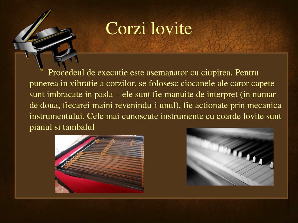 PPT - Instrumente muzicale cu corzi PowerPoint Presentation, free download  - ID:4675895