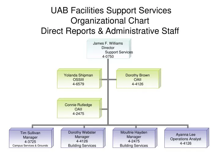 Uab Health System Organizational Chart