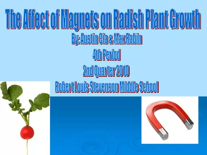plant growth magnets affect radish slideserve ppt powerpoint presentation
