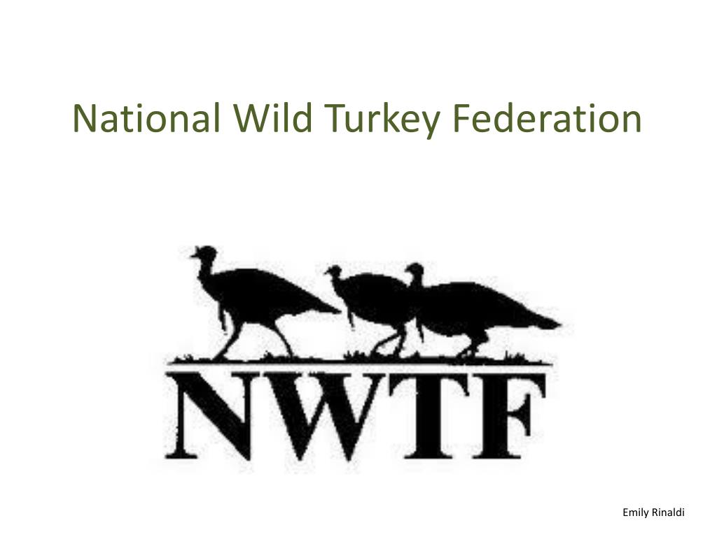 PPT National Wild Turkey Federation PowerPoint Presentation, free