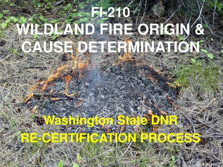 PPT FI210 WILDLAND FIRE ORIGIN & CAUSE DETERMINATION PowerPoint Presentation ID4679899