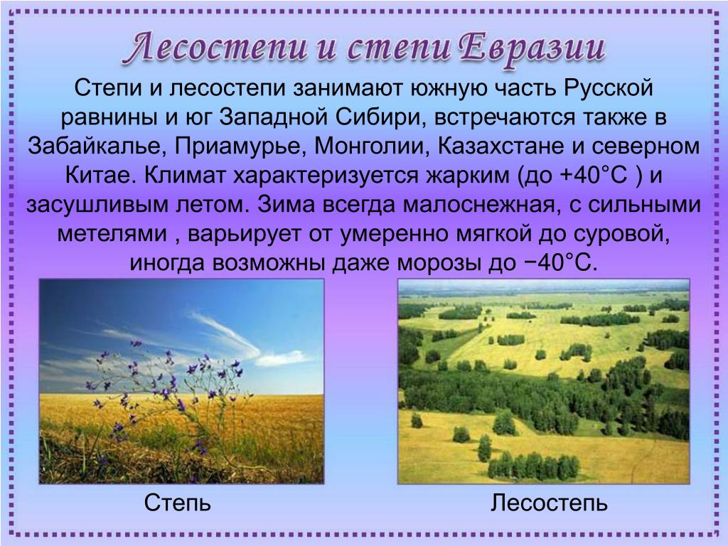 Природные особенности евразии. Климат лесостепи и степи в Евразии. Природные зоны Евразии степи и лесостепи. Климатический пояс лесостепи и степи в Евразии. Природные условия лесостепи.